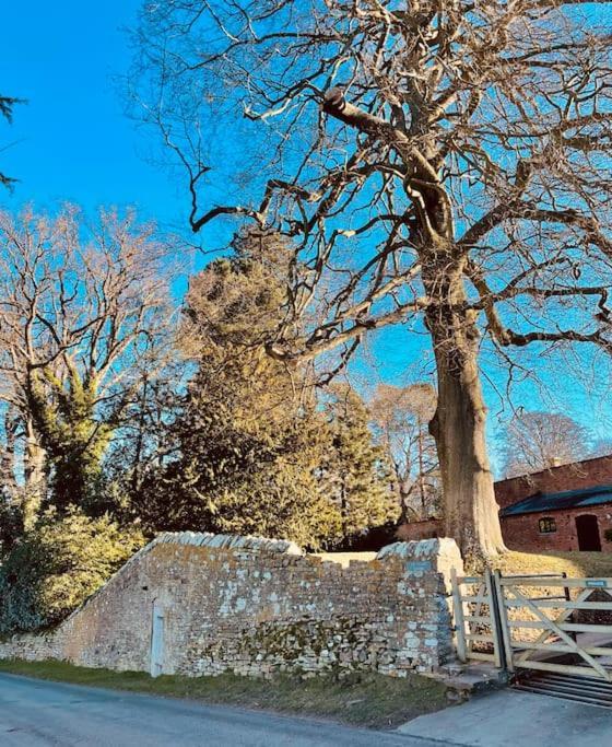 Pool Cottage Bed!-2 Bed Cottage With Dog Walking Trails And Local Pub On Your Doorstep! Popular Walking Trails Nearby-Malvern Hills And The Brockhampton Estate- Peaceful Village On The Border Of Hereford And วุร์สเตอร์ ภายนอก รูปภาพ