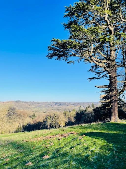 Pool Cottage Bed!-2 Bed Cottage With Dog Walking Trails And Local Pub On Your Doorstep! Popular Walking Trails Nearby-Malvern Hills And The Brockhampton Estate- Peaceful Village On The Border Of Hereford And วุร์สเตอร์ ภายนอก รูปภาพ