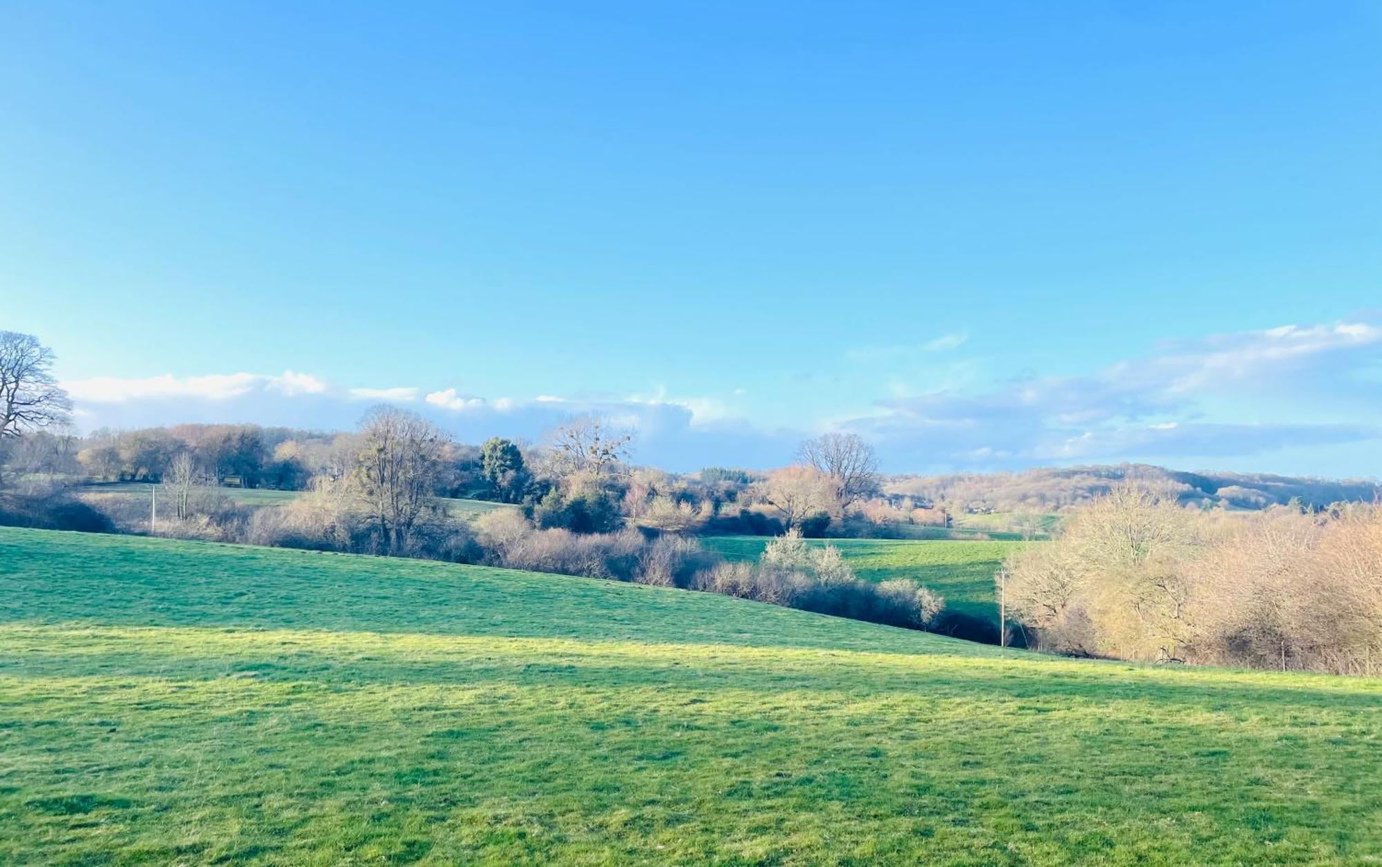 Pool Cottage Bed!-2 Bed Cottage With Dog Walking Trails And Local Pub On Your Doorstep! Popular Walking Trails Nearby-Malvern Hills And The Brockhampton Estate- Peaceful Village On The Border Of Hereford And วุร์สเตอร์ ภายนอก รูปภาพ