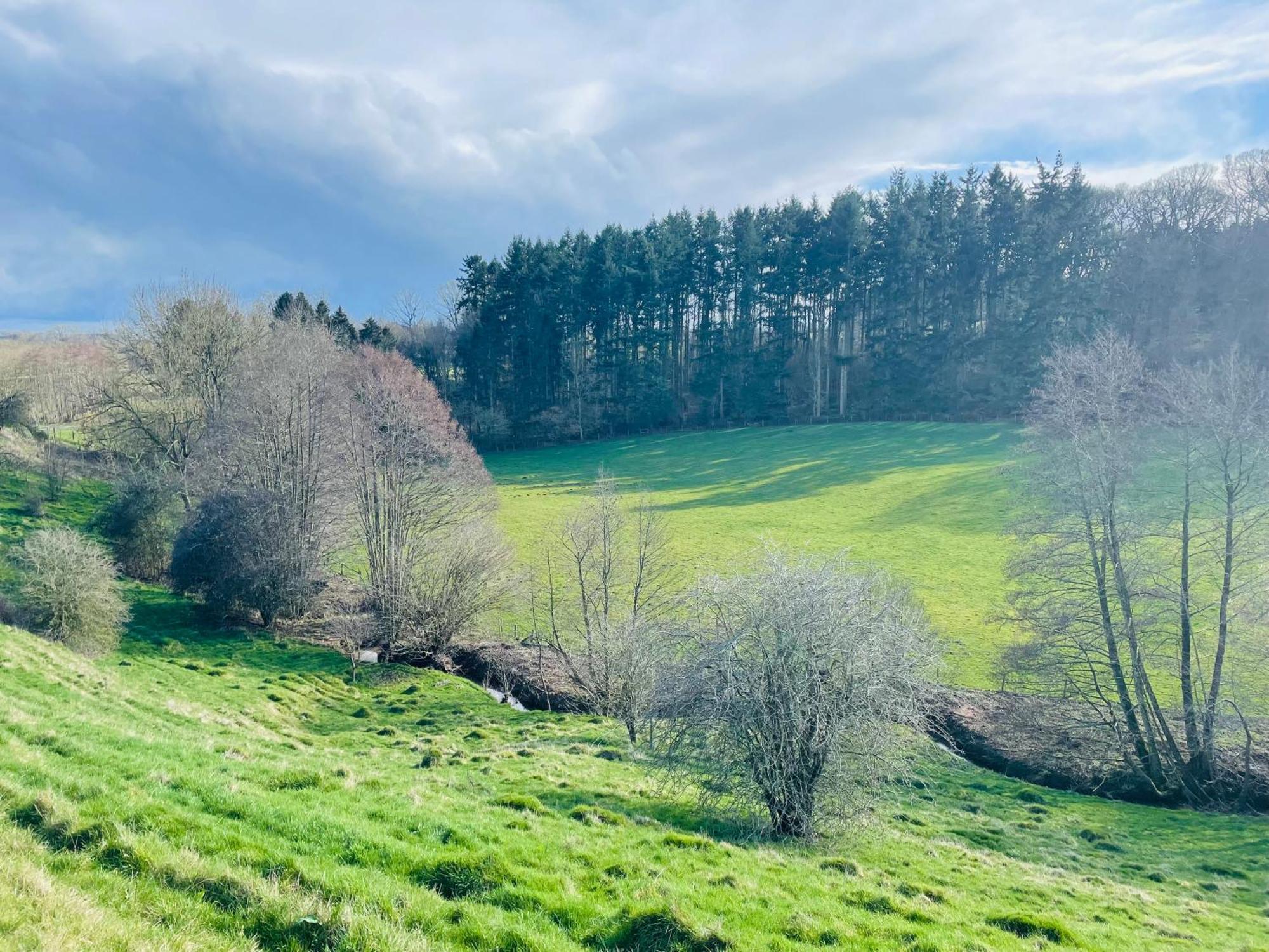 Pool Cottage Bed!-2 Bed Cottage With Dog Walking Trails And Local Pub On Your Doorstep! Popular Walking Trails Nearby-Malvern Hills And The Brockhampton Estate- Peaceful Village On The Border Of Hereford And วุร์สเตอร์ ภายนอก รูปภาพ