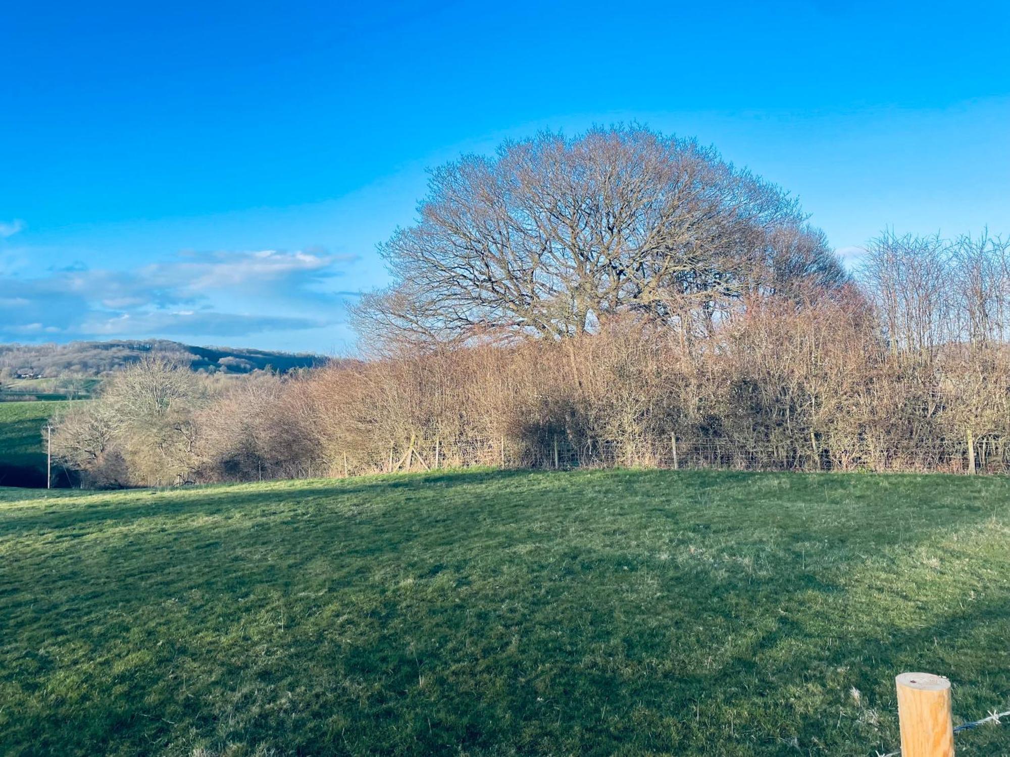 Pool Cottage Bed!-2 Bed Cottage With Dog Walking Trails And Local Pub On Your Doorstep! Popular Walking Trails Nearby-Malvern Hills And The Brockhampton Estate- Peaceful Village On The Border Of Hereford And วุร์สเตอร์ ภายนอก รูปภาพ