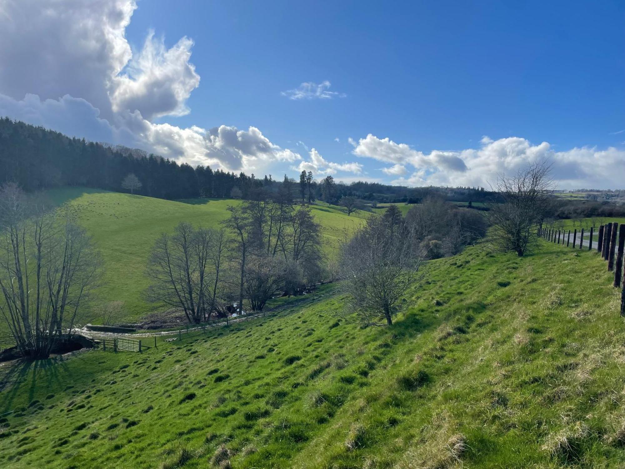Pool Cottage Bed!-2 Bed Cottage With Dog Walking Trails And Local Pub On Your Doorstep! Popular Walking Trails Nearby-Malvern Hills And The Brockhampton Estate- Peaceful Village On The Border Of Hereford And วุร์สเตอร์ ภายนอก รูปภาพ
