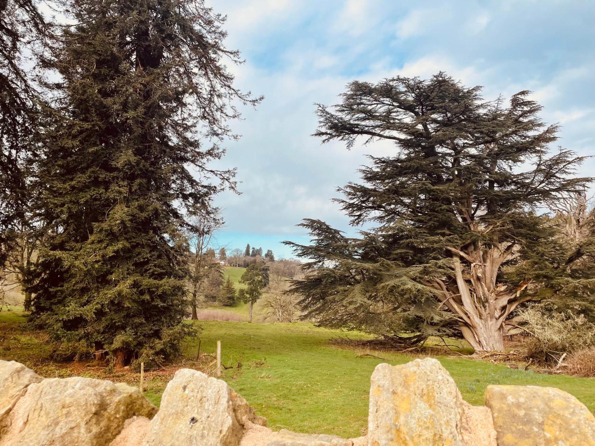 Pool Cottage Bed!-2 Bed Cottage With Dog Walking Trails And Local Pub On Your Doorstep! Popular Walking Trails Nearby-Malvern Hills And The Brockhampton Estate- Peaceful Village On The Border Of Hereford And วุร์สเตอร์ ภายนอก รูปภาพ