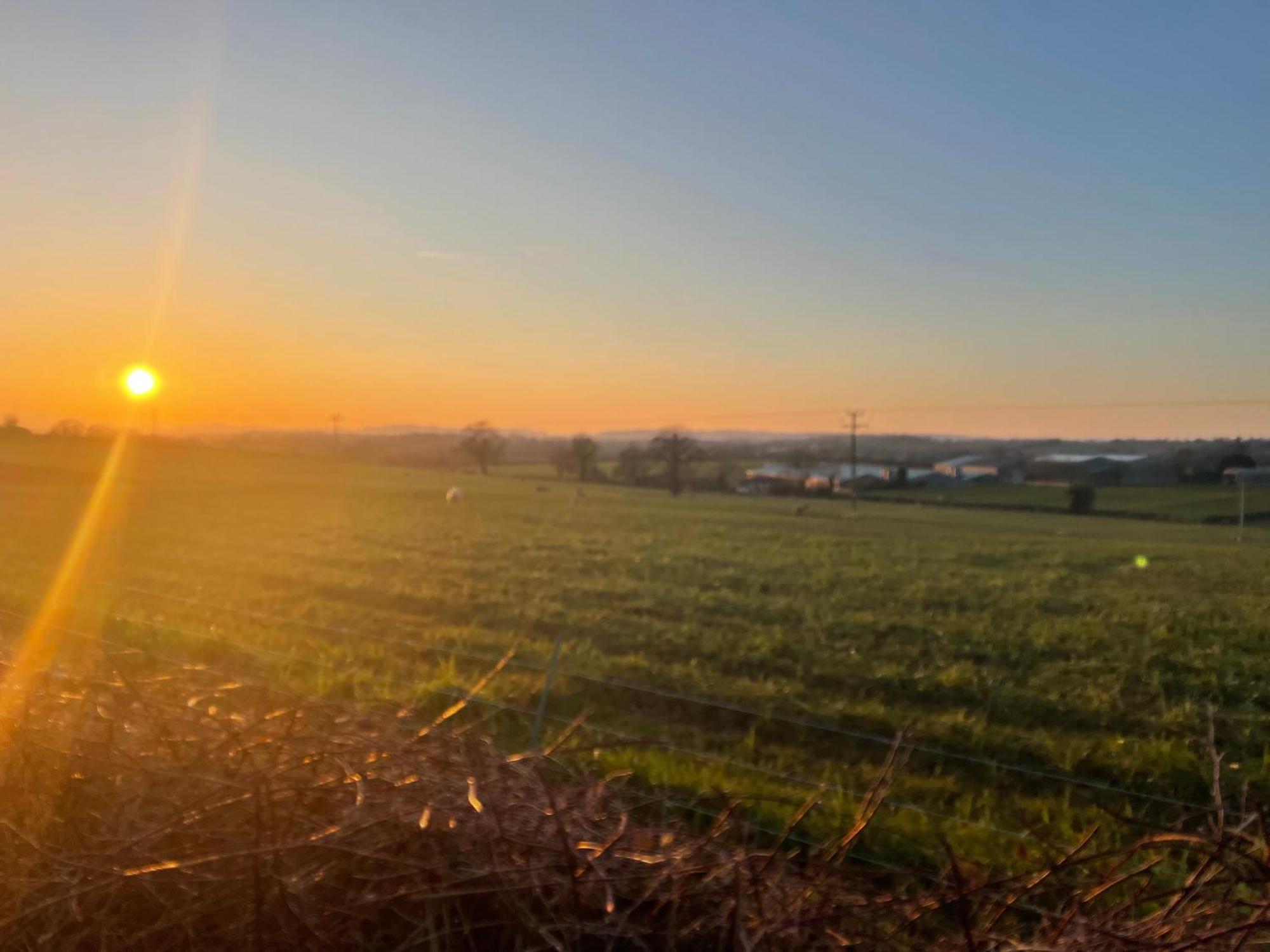 Pool Cottage Bed!-2 Bed Cottage With Dog Walking Trails And Local Pub On Your Doorstep! Popular Walking Trails Nearby-Malvern Hills And The Brockhampton Estate- Peaceful Village On The Border Of Hereford And วุร์สเตอร์ ภายนอก รูปภาพ