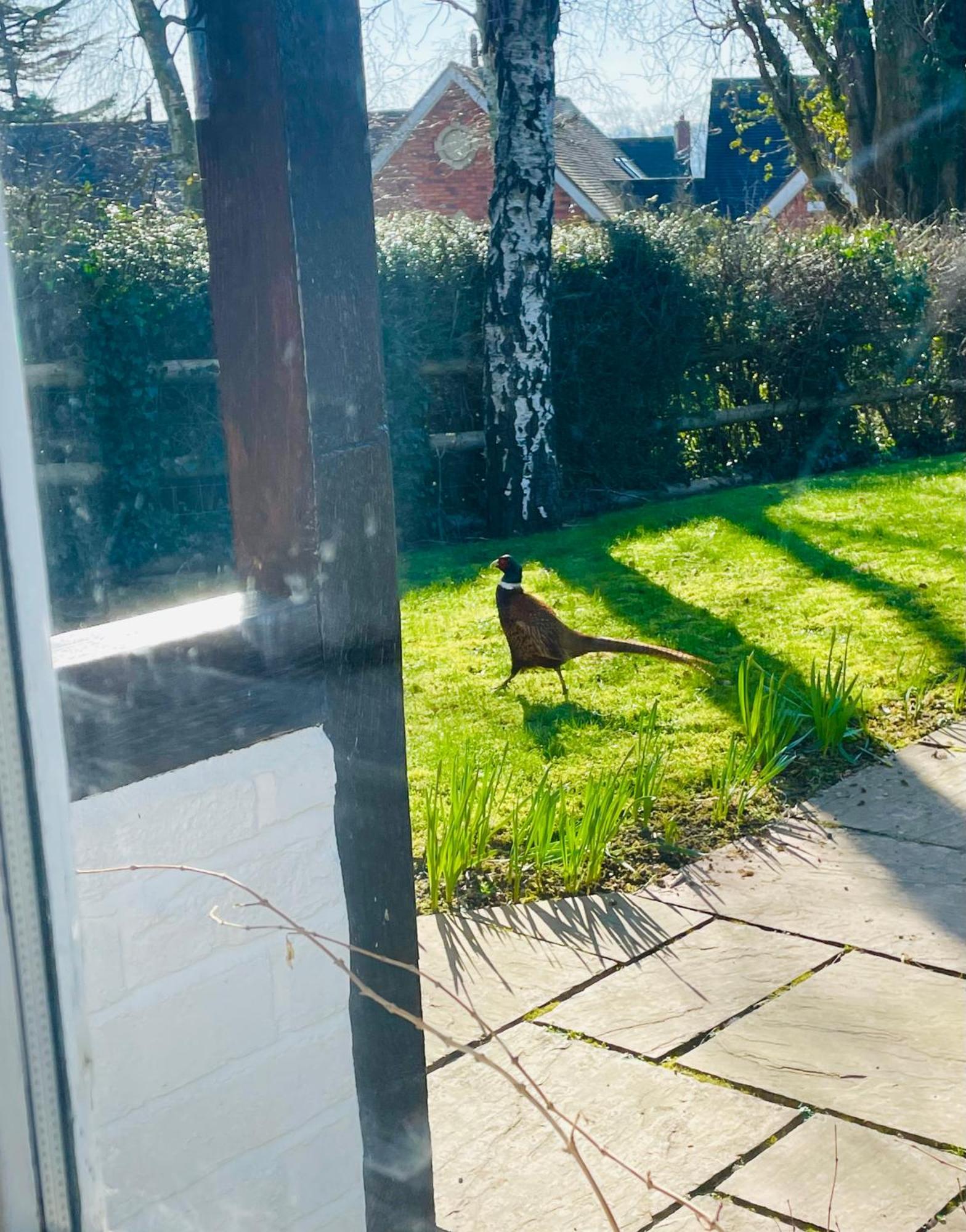 Pool Cottage Bed!-2 Bed Cottage With Dog Walking Trails And Local Pub On Your Doorstep! Popular Walking Trails Nearby-Malvern Hills And The Brockhampton Estate- Peaceful Village On The Border Of Hereford And วุร์สเตอร์ ภายนอก รูปภาพ
