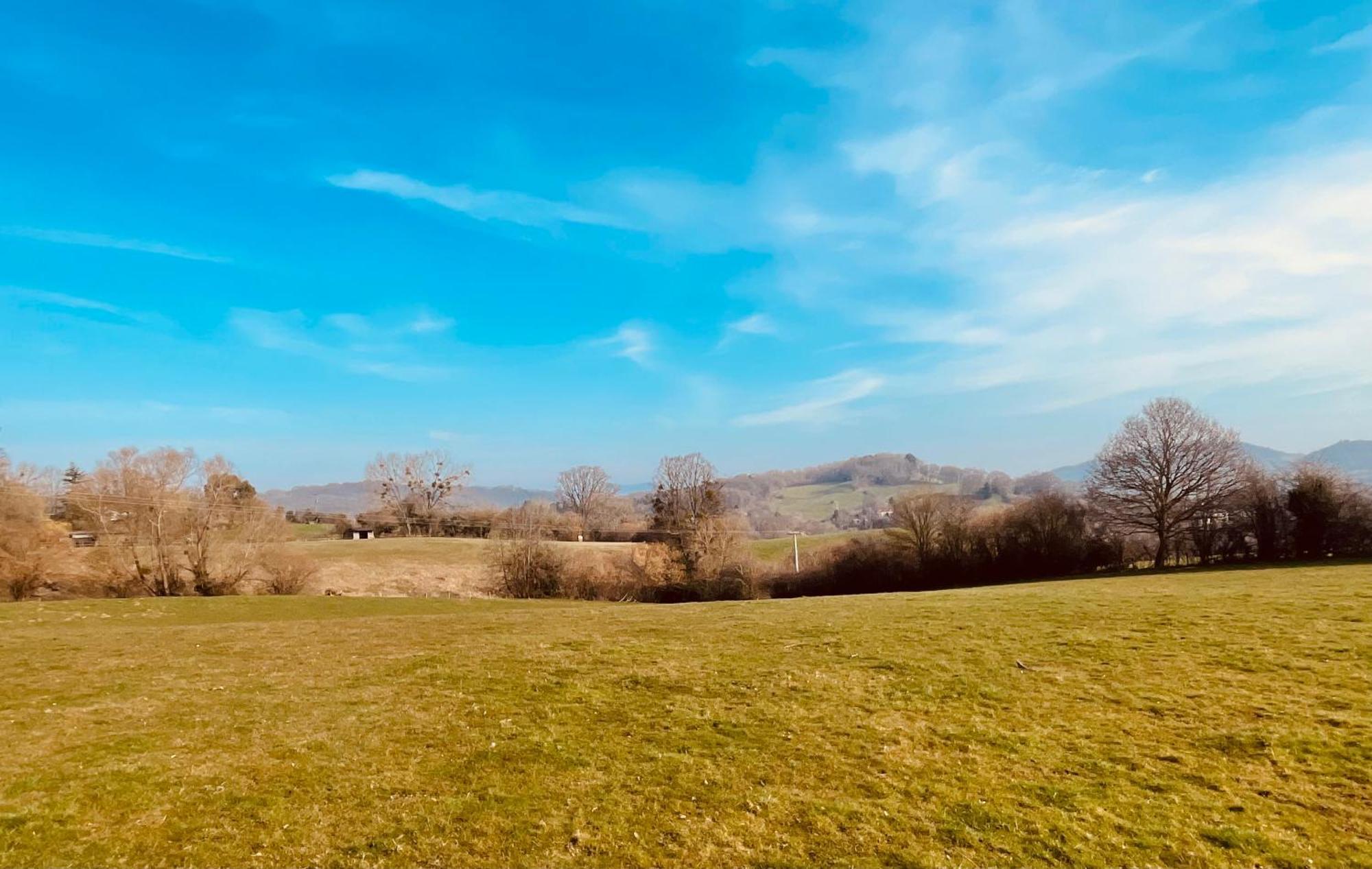 Pool Cottage Bed!-2 Bed Cottage With Dog Walking Trails And Local Pub On Your Doorstep! Popular Walking Trails Nearby-Malvern Hills And The Brockhampton Estate- Peaceful Village On The Border Of Hereford And วุร์สเตอร์ ภายนอก รูปภาพ