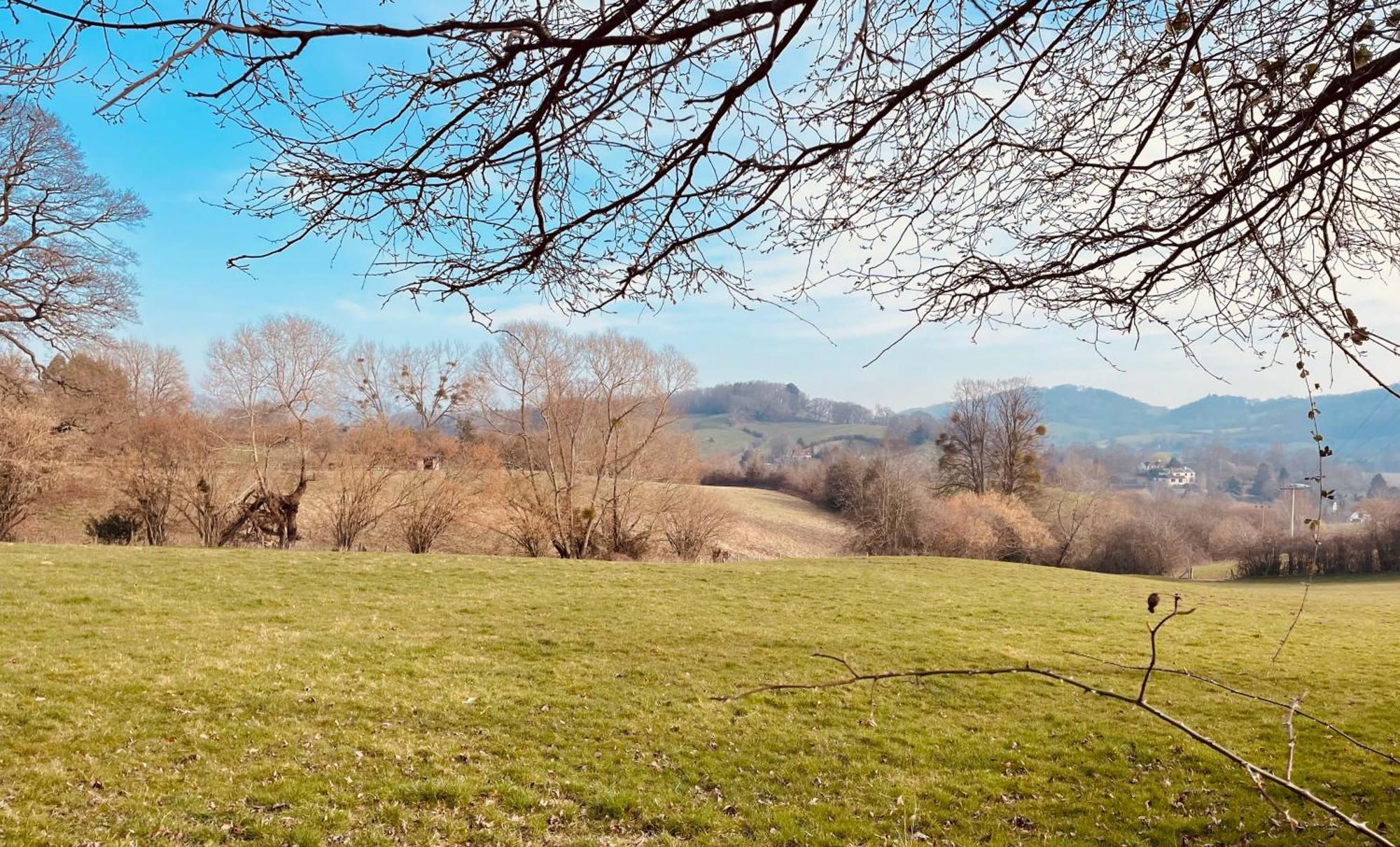 Pool Cottage Bed!-2 Bed Cottage With Dog Walking Trails And Local Pub On Your Doorstep! Popular Walking Trails Nearby-Malvern Hills And The Brockhampton Estate- Peaceful Village On The Border Of Hereford And วุร์สเตอร์ ภายนอก รูปภาพ