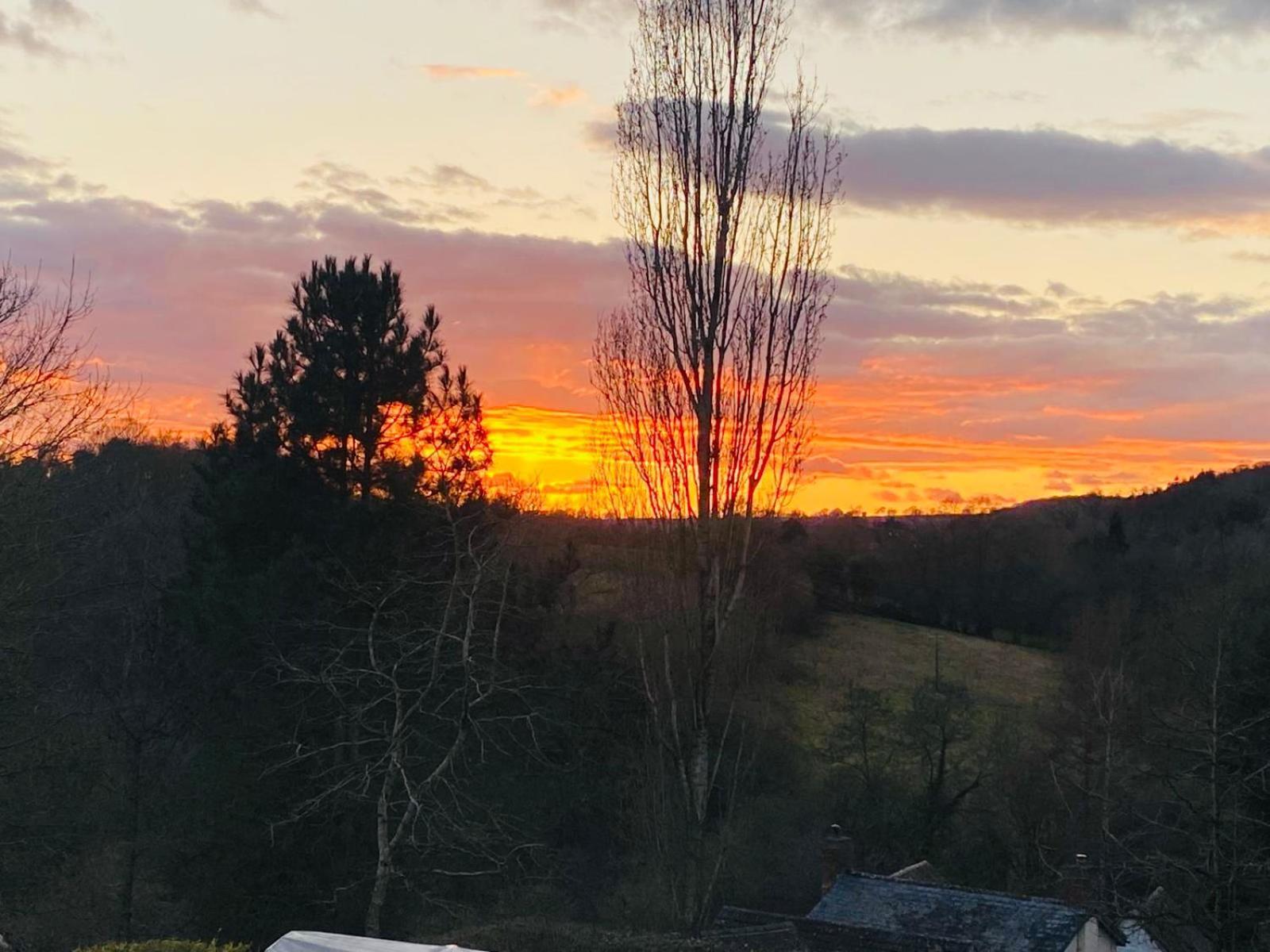 Pool Cottage Bed!-2 Bed Cottage With Dog Walking Trails And Local Pub On Your Doorstep! Popular Walking Trails Nearby-Malvern Hills And The Brockhampton Estate- Peaceful Village On The Border Of Hereford And วุร์สเตอร์ ภายนอก รูปภาพ